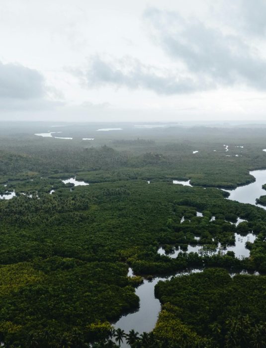 pexels-lukasfst-19635625 (1)